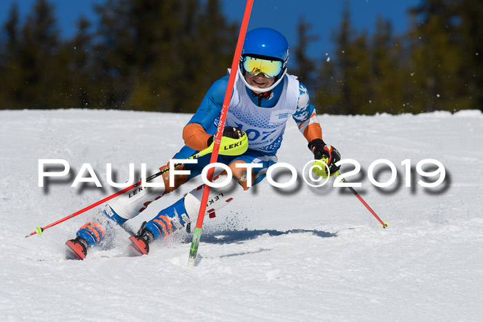 SVM U14/U16 Slalom 17.02.2019