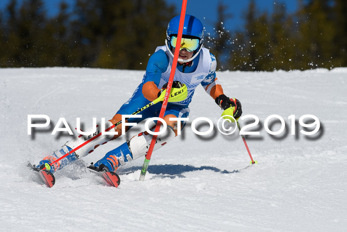 SVM U14/U16 Slalom 17.02.2019