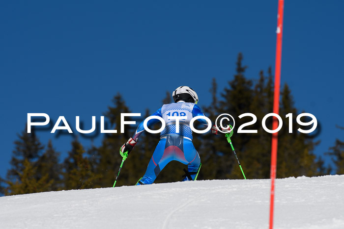 SVM U14/U16 Slalom 17.02.2019