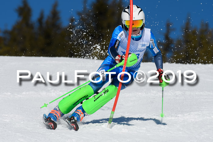 SVM U14/U16 Slalom 17.02.2019