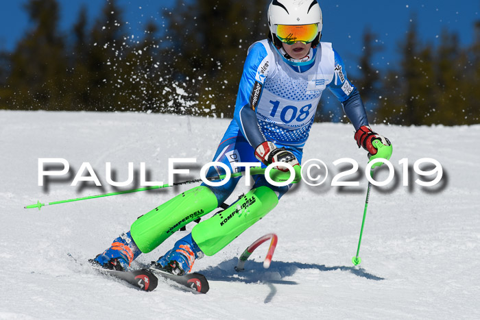 SVM U14/U16 Slalom 17.02.2019