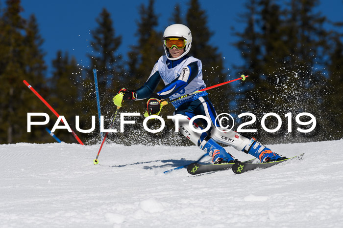 SVM U14/U16 Slalom 17.02.2019