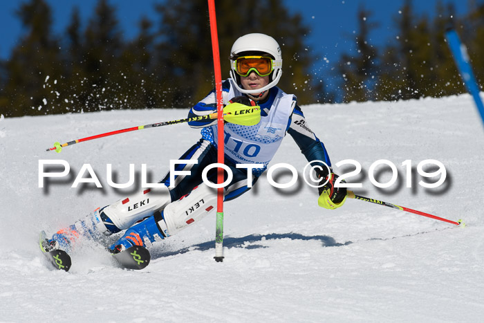 SVM U14/U16 Slalom 17.02.2019