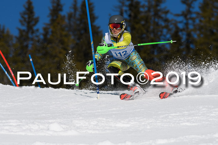 SVM U14/U16 Slalom 17.02.2019