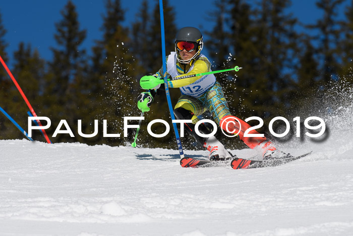 SVM U14/U16 Slalom 17.02.2019