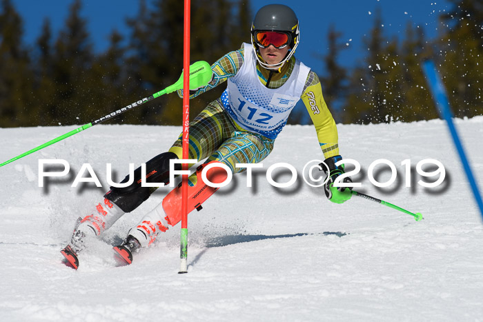 SVM U14/U16 Slalom 17.02.2019