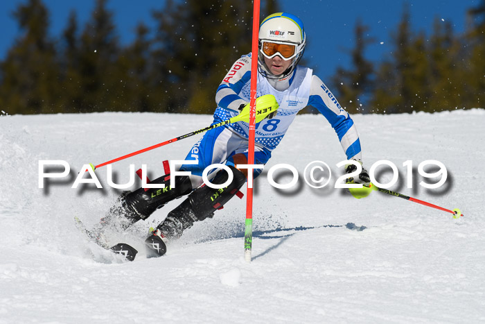 SVM U14/U16 Slalom 17.02.2019