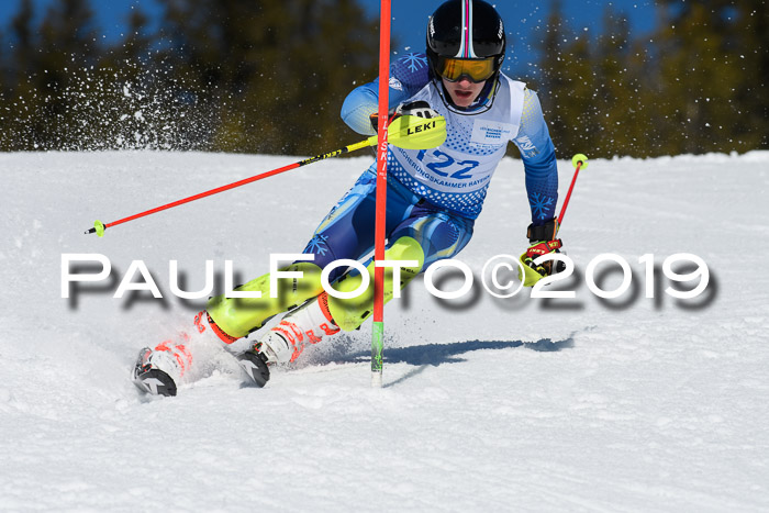 SVM U14/U16 Slalom 17.02.2019