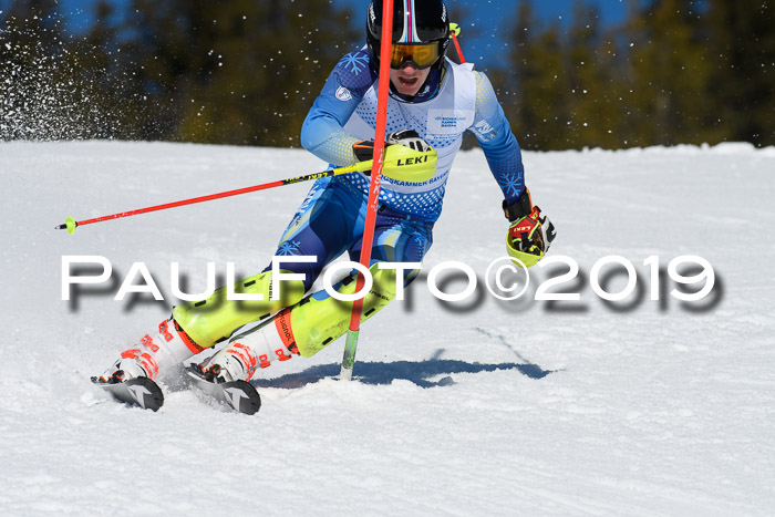 SVM U14/U16 Slalom 17.02.2019