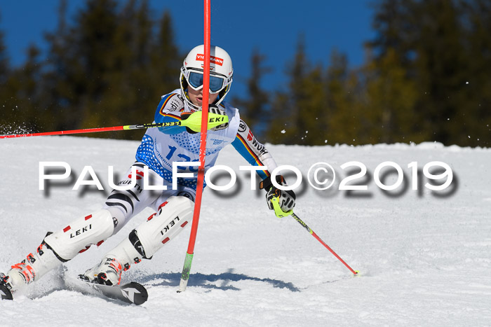 SVM U14/U16 Slalom 17.02.2019