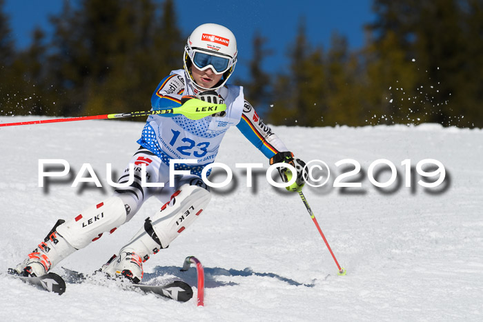 SVM U14/U16 Slalom 17.02.2019