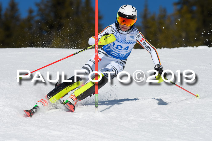 SVM U14/U16 Slalom 17.02.2019