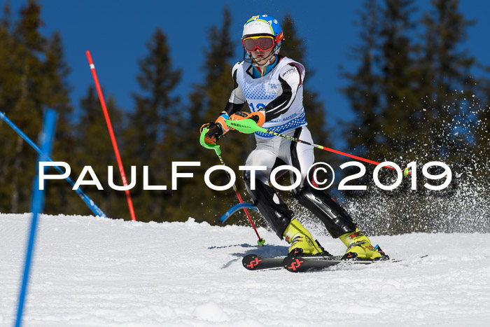 SVM U14/U16 Slalom 17.02.2019