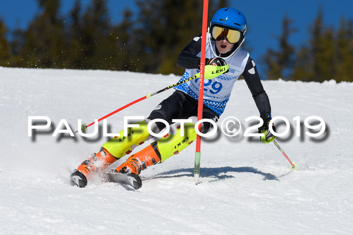 SVM U14/U16 Slalom 17.02.2019