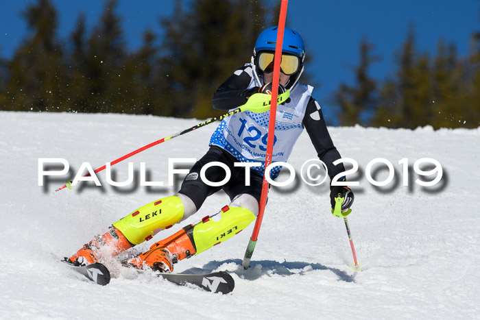 SVM U14/U16 Slalom 17.02.2019