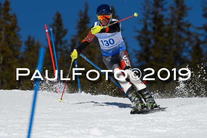 SVM U14/U16 Slalom 17.02.2019