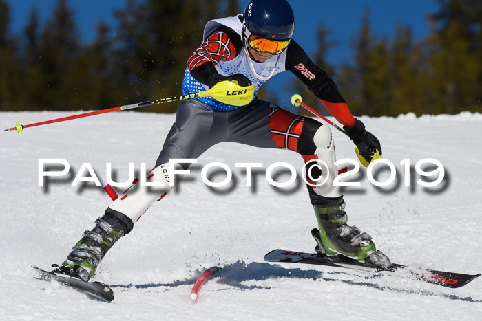 SVM U14/U16 Slalom 17.02.2019