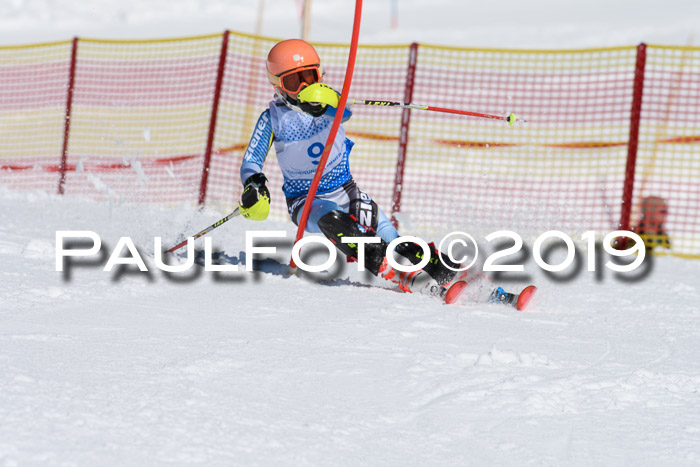 SVM U14/U16 Slalom 17.02.2019