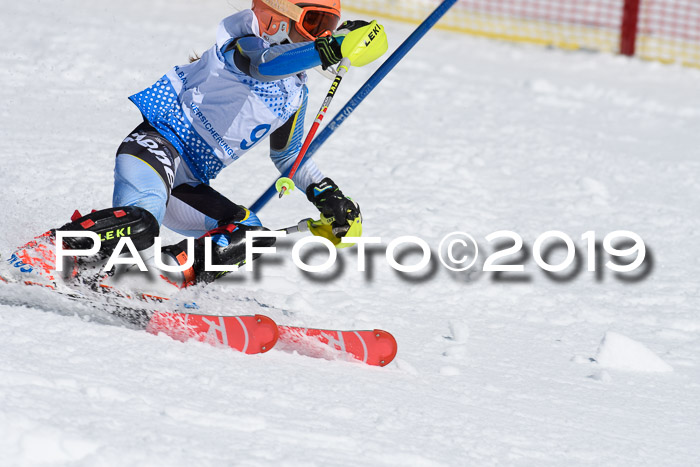 SVM U14/U16 Slalom 17.02.2019