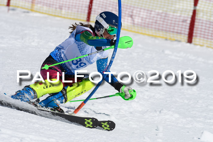 SVM U14/U16 Slalom 17.02.2019