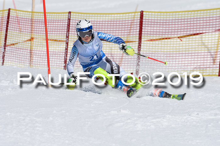 SVM U14/U16 Slalom 17.02.2019