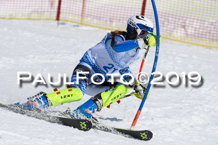 SVM U14/U16 Slalom 17.02.2019