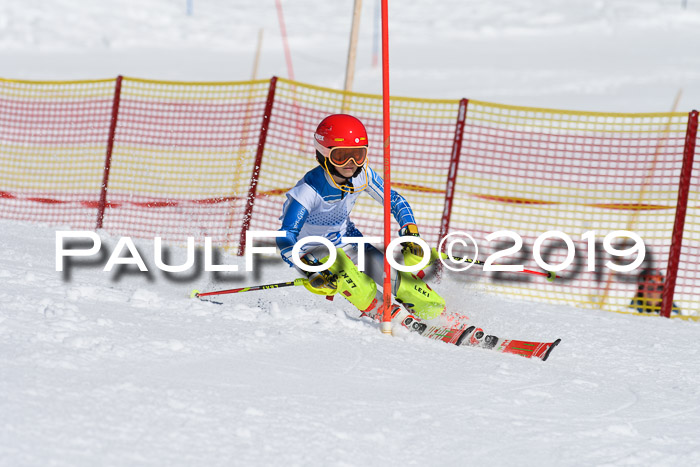 SVM U14/U16 Slalom 17.02.2019