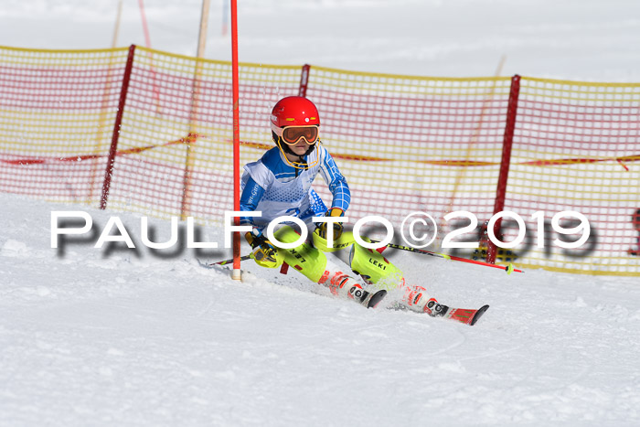 SVM U14/U16 Slalom 17.02.2019