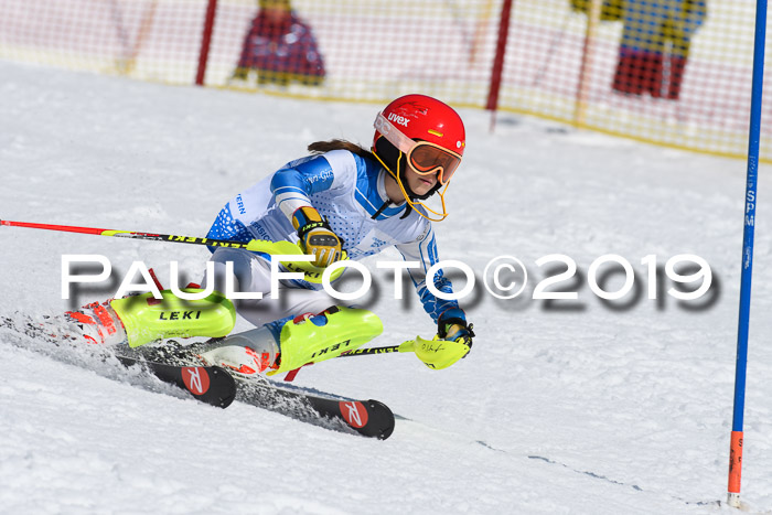 SVM U14/U16 Slalom 17.02.2019