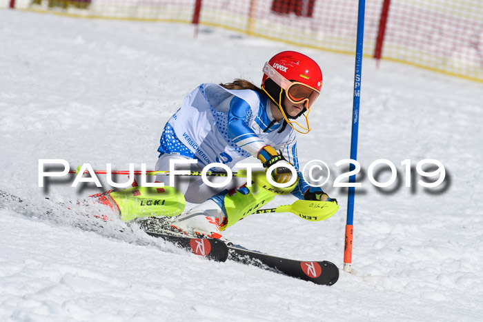 SVM U14/U16 Slalom 17.02.2019