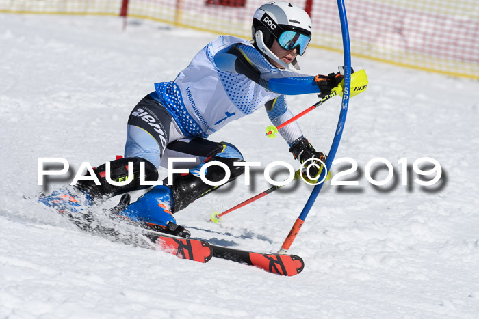 SVM U14/U16 Slalom 17.02.2019