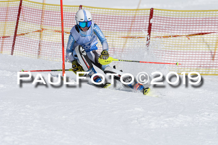 SVM U14/U16 Slalom 17.02.2019