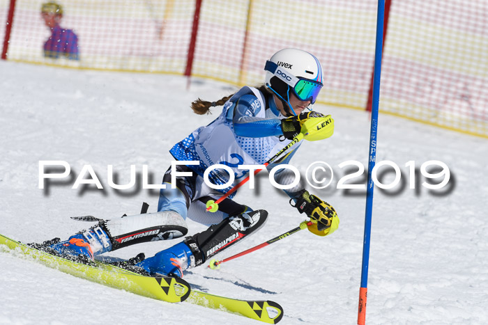 SVM U14/U16 Slalom 17.02.2019