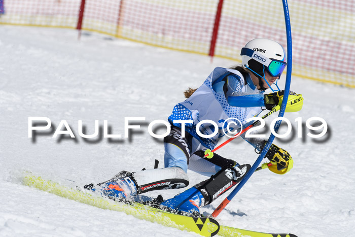 SVM U14/U16 Slalom 17.02.2019