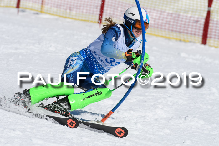 SVM U14/U16 Slalom 17.02.2019