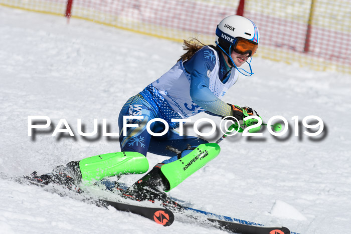 SVM U14/U16 Slalom 17.02.2019