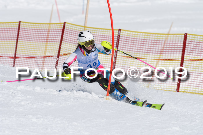 SVM U14/U16 Slalom 17.02.2019