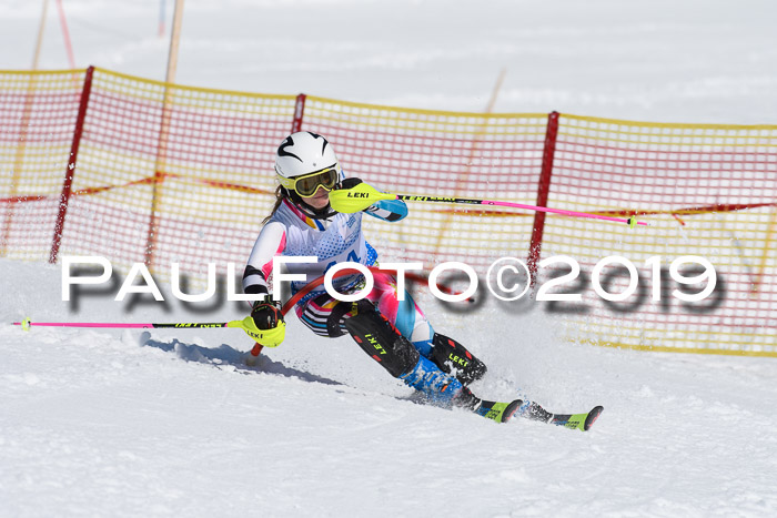 SVM U14/U16 Slalom 17.02.2019