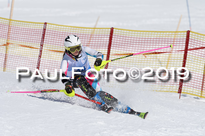 SVM U14/U16 Slalom 17.02.2019