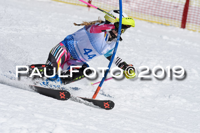 SVM U14/U16 Slalom 17.02.2019