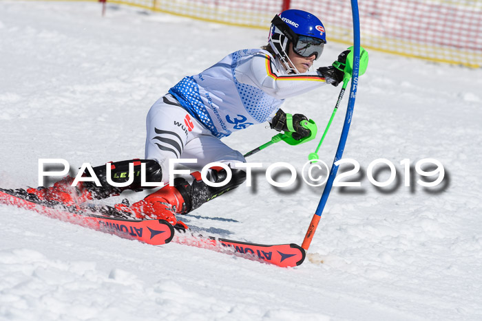 SVM U14/U16 Slalom 17.02.2019