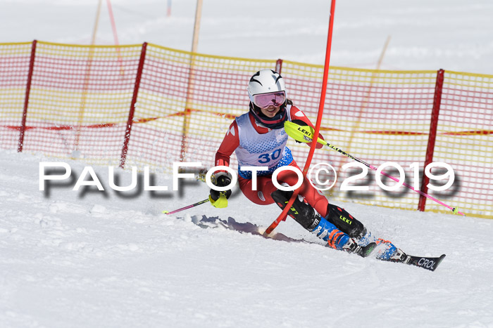 SVM U14/U16 Slalom 17.02.2019