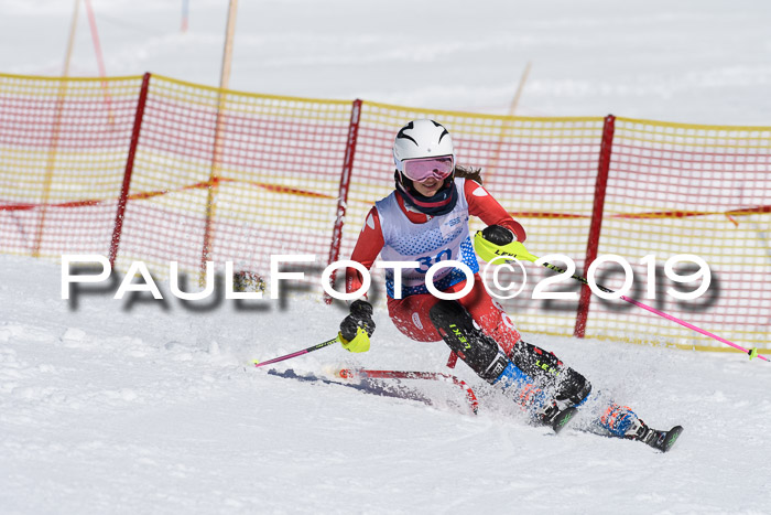 SVM U14/U16 Slalom 17.02.2019