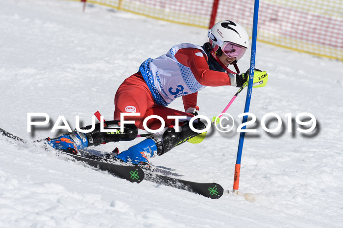 SVM U14/U16 Slalom 17.02.2019