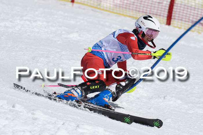 SVM U14/U16 Slalom 17.02.2019