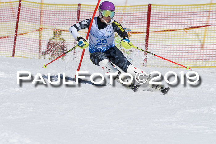 SVM U14/U16 Slalom 17.02.2019