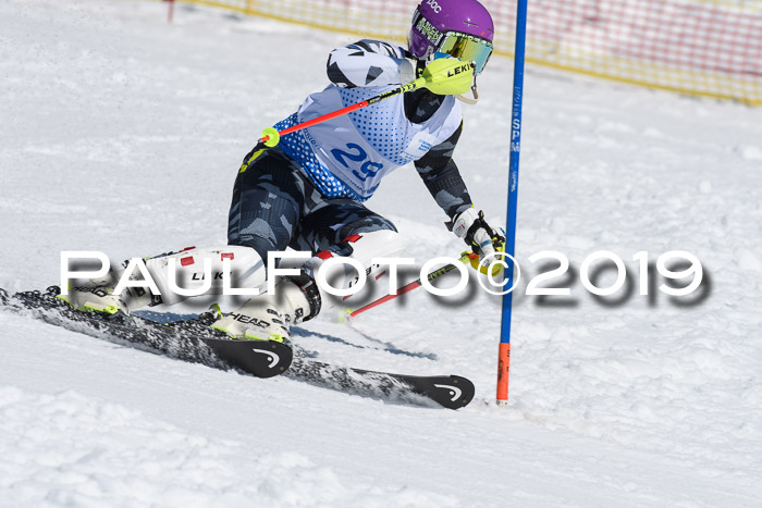 SVM U14/U16 Slalom 17.02.2019