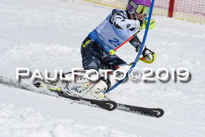 SVM U14/U16 Slalom 17.02.2019