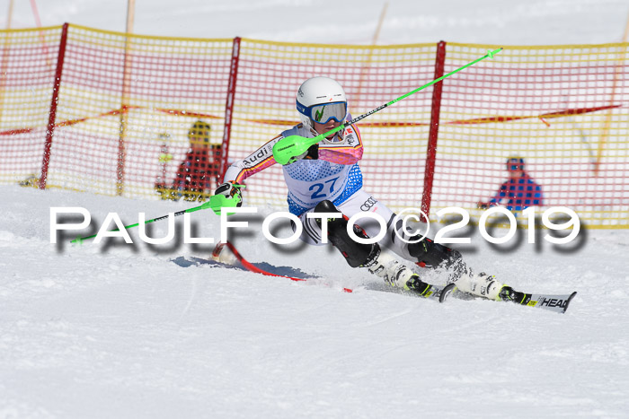 SVM U14/U16 Slalom 17.02.2019