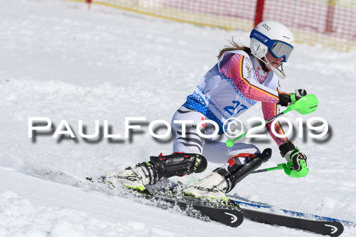 SVM U14/U16 Slalom 17.02.2019